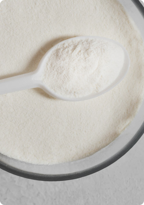 Gelatin Products & Applications