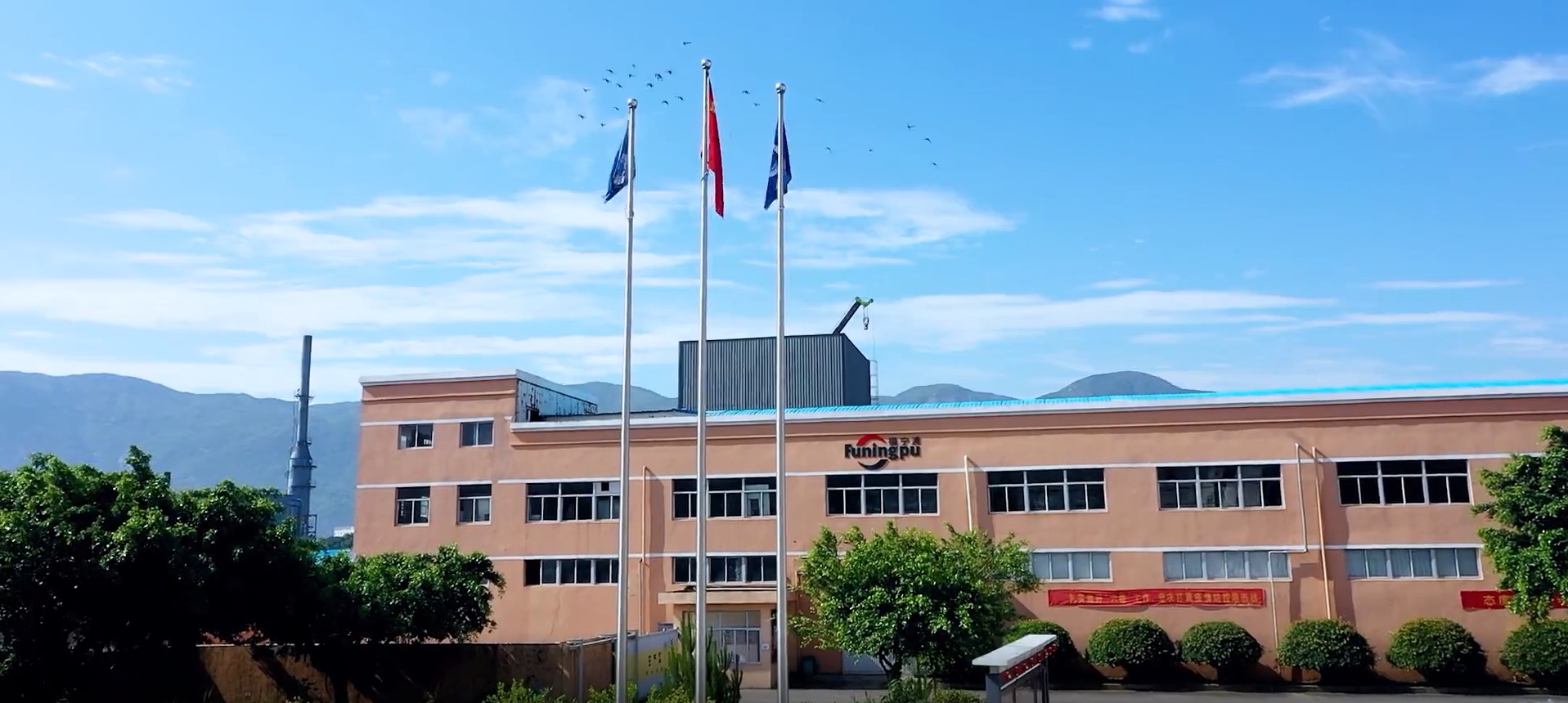 Company Profile - About Us