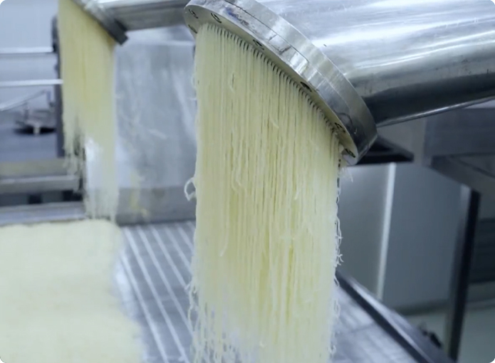 About Us - Gelatin Manufacturer