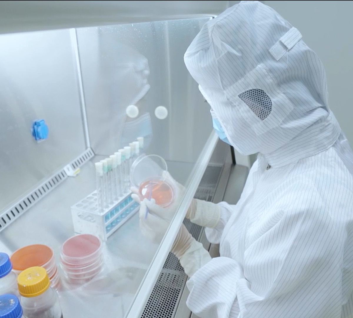 Zhaofeng Gelatin Ltd (ZGL) - Edible & Pharmaceutical Gelatin Manufacturer