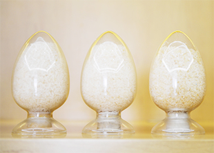 Understanding gelatin: What is gelatin? What is it used for?